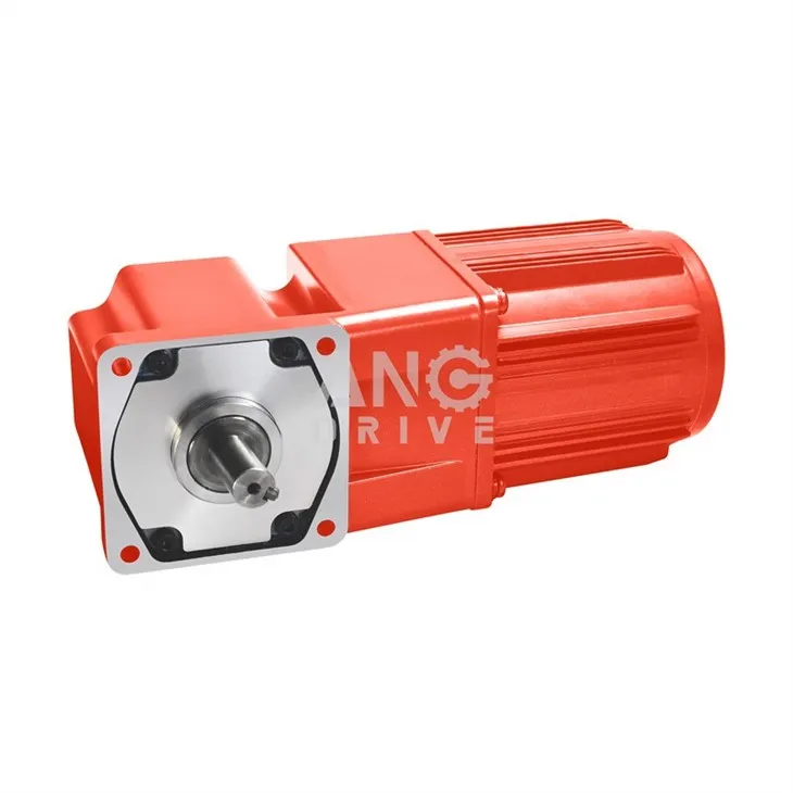 electric motor gear unit