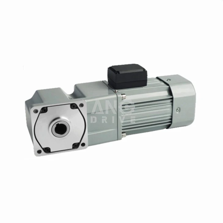 160w Gear Motor 1 phase