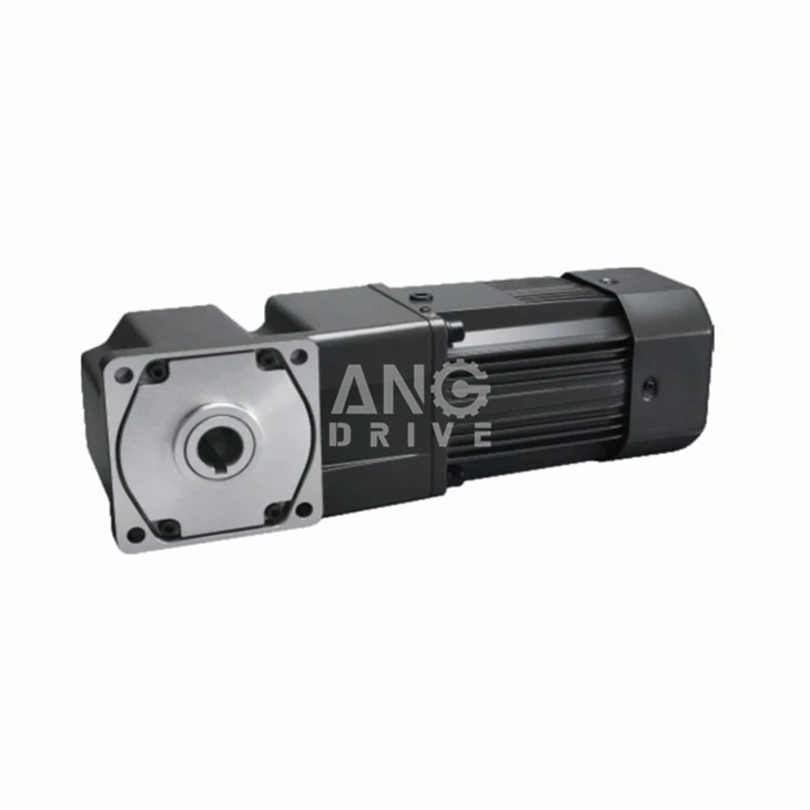 160w Gear Motor 3 phase
