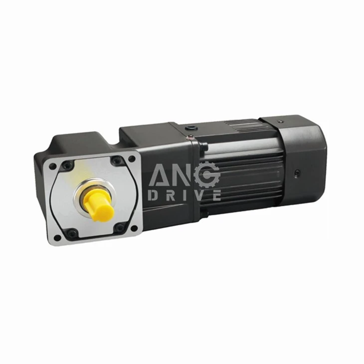 160w Gear Motor 110v
