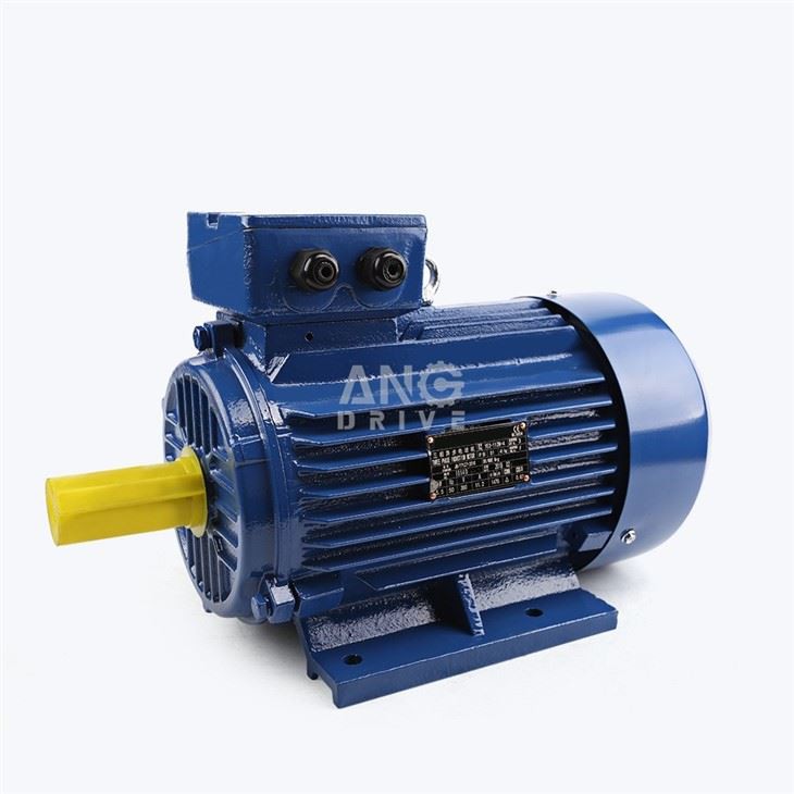 4HP Electric Motor