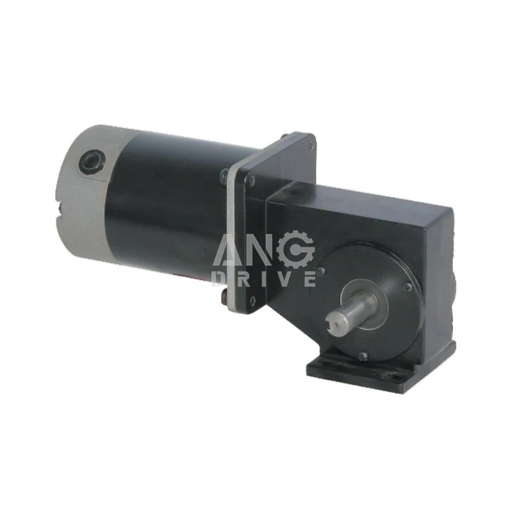 DC Induction Motor