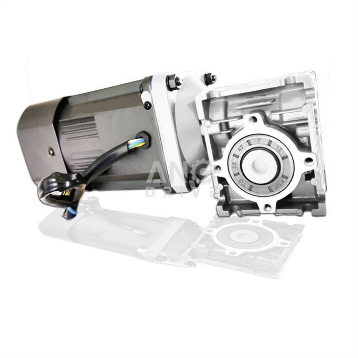 AC worm reducer motor