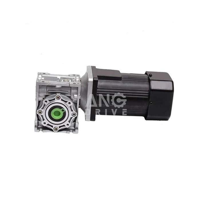 NMRV worm reducer with electric motor